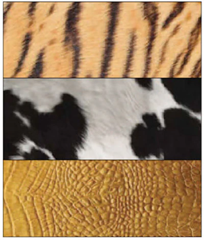 photo of pool cover examples