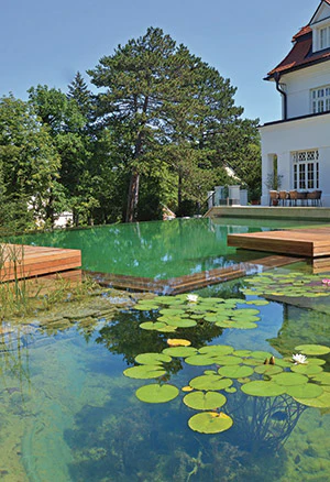 photo of a a natural pool