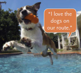 2015 SOI Service quotes