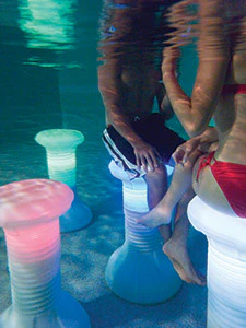 Envy Pool Products