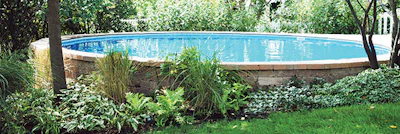 Photo of Fox Pools project