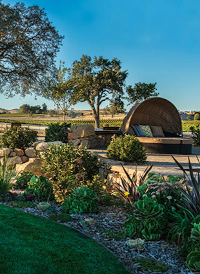 From artificial turf, to drought-resistant plant species to expanded hardscape areas – conservation does not have to mean sacrificing beauty. - Click to enlarge
