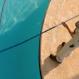 IPSSA offers a $3 million liability insurance plan for members.
