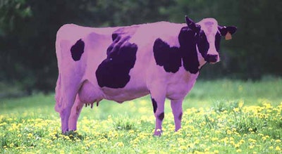 Be the purple cow.