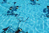 Swimsaps Pf Shutterstock 175910795 616 Feat