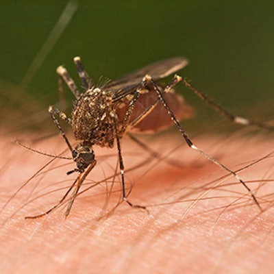 Mosquito Sm