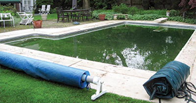 In spring, when covers come off and reveal green water, many service techs and homeowners alike start thinking about cover options that will better preserve quality water conditions.
