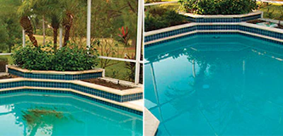 If staining strikes only a portion of the pool, applying a stain-removal product to the afflicted area may be the best treatment. (Photos courtesy of Jack's Magic)
