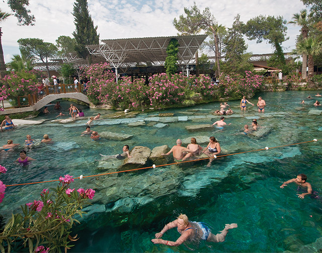 Wf 317 Antique Pool2 Feat