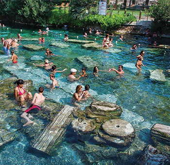 Wf 317 Antique Pool Sm