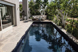 S-POOLs can be made with a variety of plaster or tile mosaic surfaces and readily integrated with any type of decking. Their rectangular shapes neatly fit within a range of architectural styles.