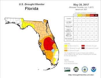 The current state of Florida's drought levels. Click to enlarge.