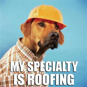 Dog Meme 617 Sm