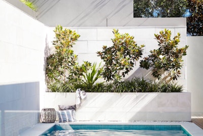 Houzz Plant2