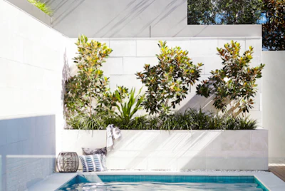 Houzz Plant2