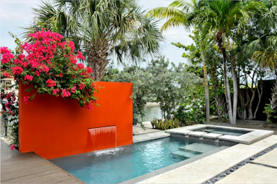 Houzz Plant3