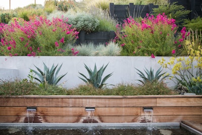 Houzz Plant5
