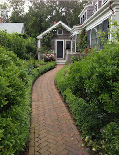 Paving2