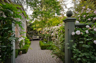 Side Yard2
