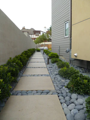 Side Yard3