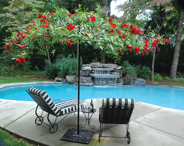 Spotlt Living Canopy 1 0218 Feat