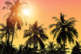 Sunset02 0218 Feat