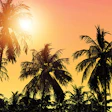 Sunset02 0218 Feat