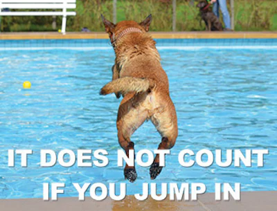 Dog Jump In 418 Sm