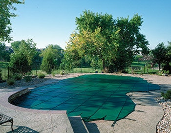 Pf Latham Marcia 2 418 Sm