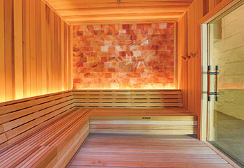 Pf Sauna Scandia 418 Sm