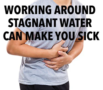Stagnant Water 418 Sm
