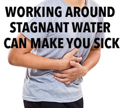 Stagnant Water 418 Sm