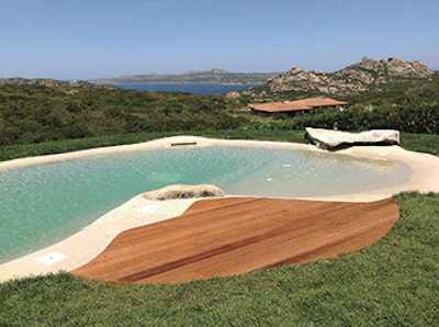 Biodesign USA's sculptural pool design.