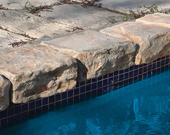 Splash Rico Rock 818 Sm