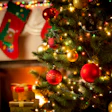 Christmas Homily