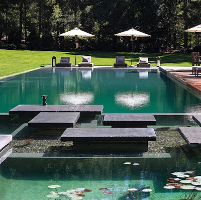 Natural swimming ponds require a regeneration zone that is similar in size to the swimming vessel itself. Because biofilm reactors eliminate the need for a regeneration zone, they reduce the amount of space required.