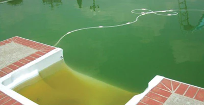 Ool 819 Aq Algae Sm