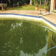 Oou 819 Aq Algae Feat