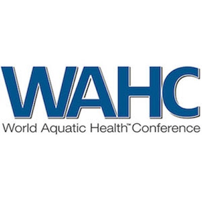 Wahc