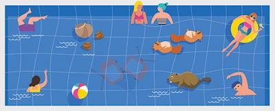 Animal Pool 920 Feat