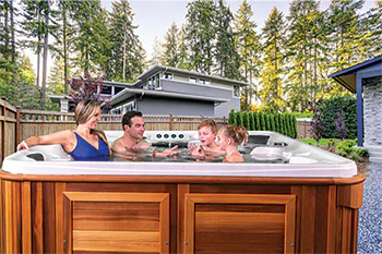 Iii 920 Aq Arctic Spas Sm