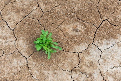 Resilient