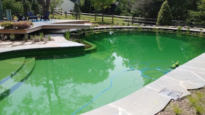 Natural Swimming Pool