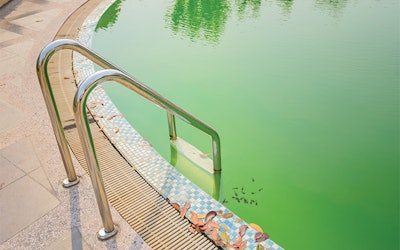 Neglected pools like this one sometimes accompany house listings, prompting a realtor to seek out pool service.