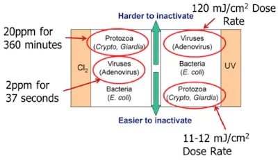 Effect of Flow Rates and Dose Rates