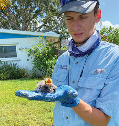 One part of service the pandemic hasn't changed? A day in the life of a service pro is always an adventure, which might even mean saving the lives of critters that accidentally take a swim. Tim Tarricone rescued this chick. It seems grateful. (Photo courtesy Aquatic Pool Systems)