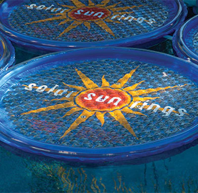 4 Z 121 Aq Solar Sun Rings Product1 Sm
