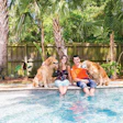 5 B 422 Aq Heritage Pools 1315 2 Lg