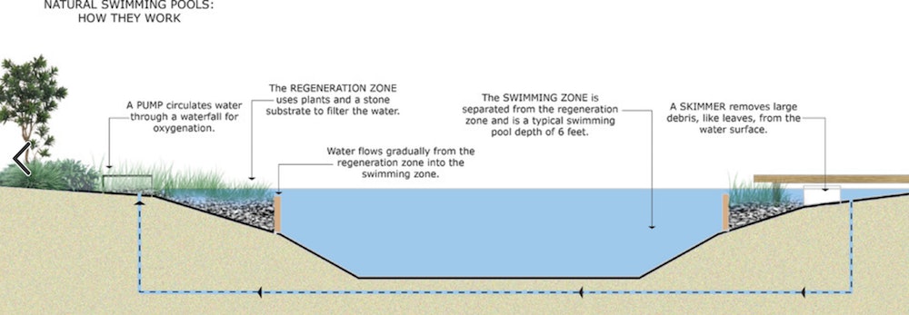 Natural swimming pool regulations