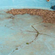 5 S 1022 Aq F2 Drought Header1